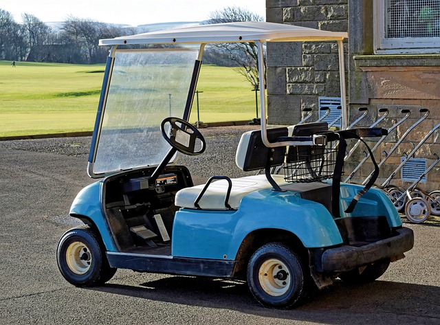 buggy rental