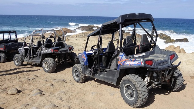 buggy sand
