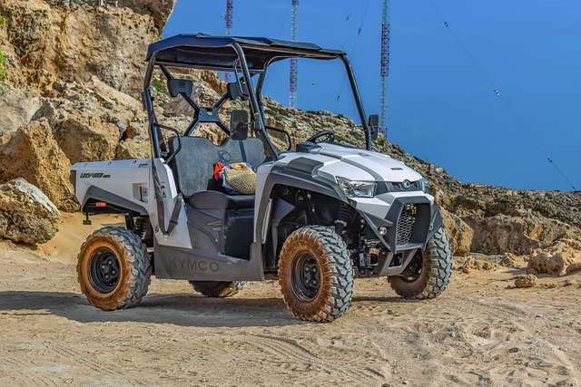 buggy sand