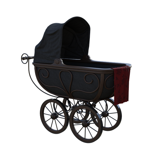 buggy tour