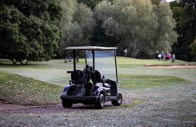 buggy tour