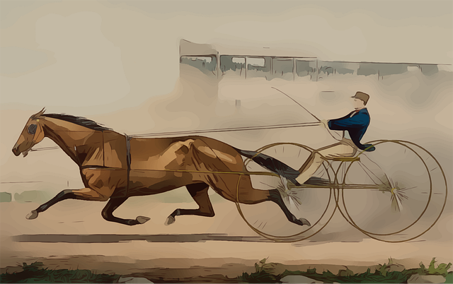 buggy tour