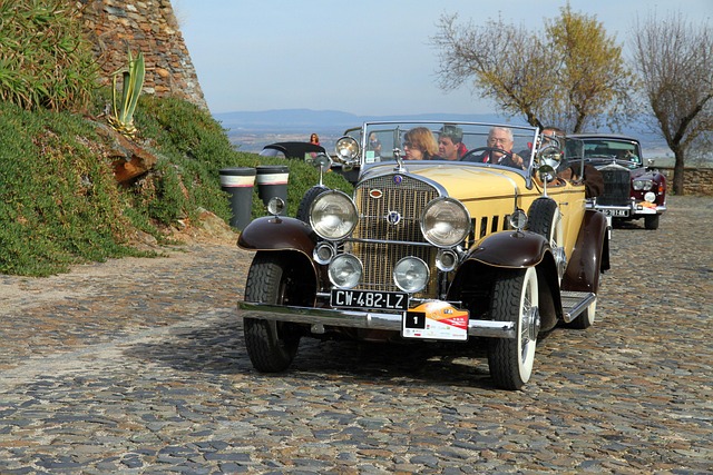 buggy tour