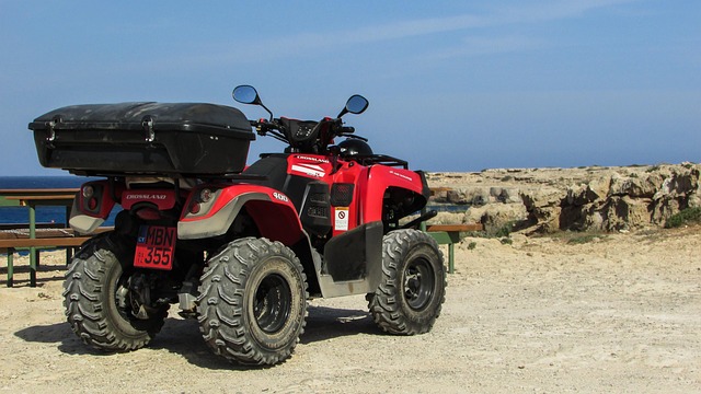 buggy tours