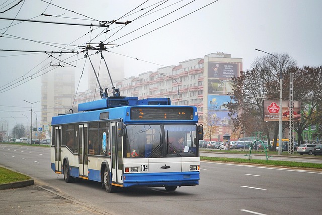 Budget-Friendly Bus Rental in Dubai: Cost-Effective Solutions for Group Transport