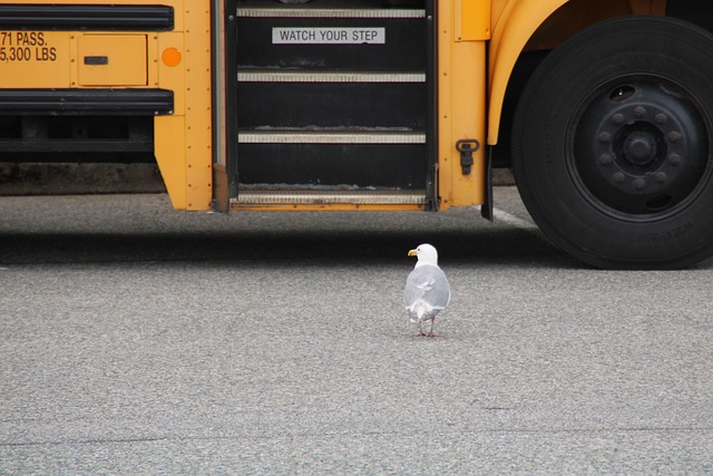 bus rental