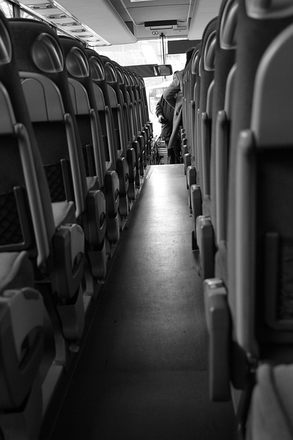 bus rental