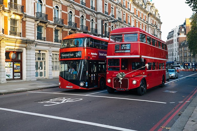 bus rental