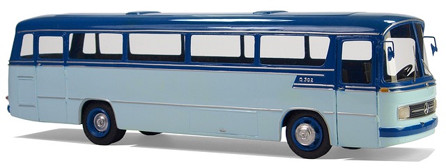 buses