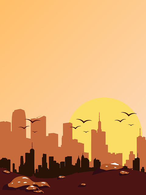 city tou