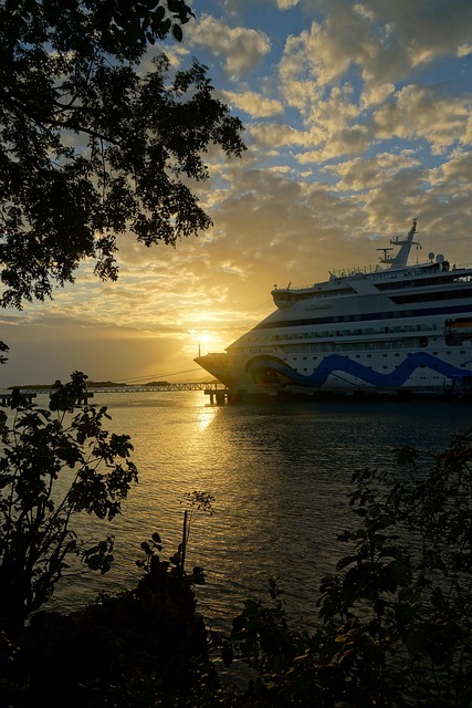 cruise booking