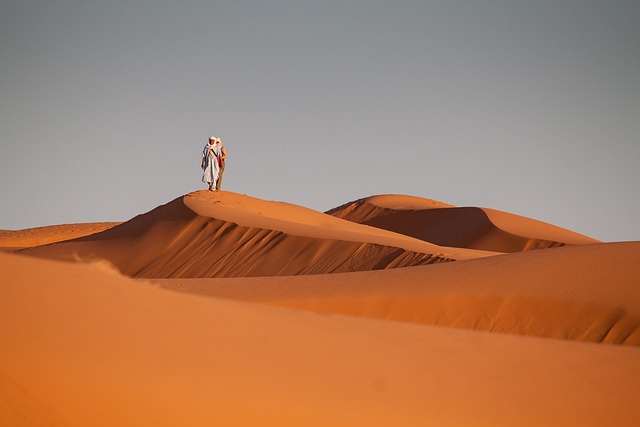 Unleash Desert Magic: Explore Cheapest Safari Adventures on a Shoestring Budget