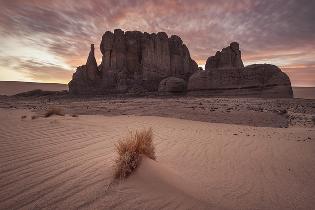 desert atv