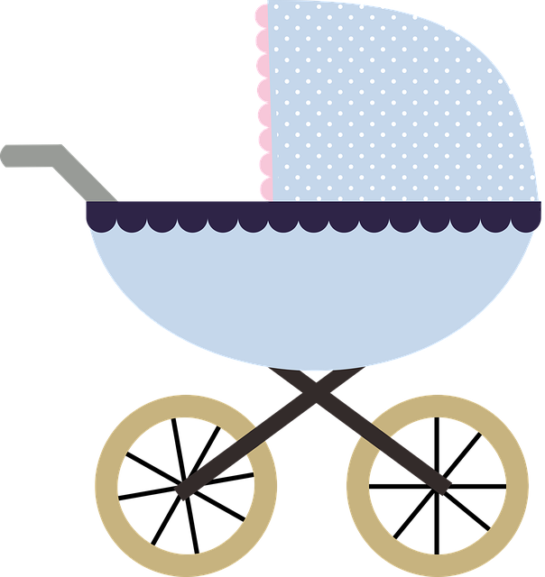 desert buggy