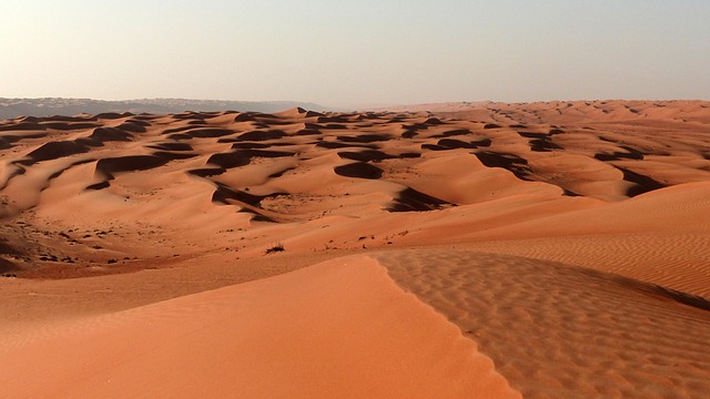 desert dune