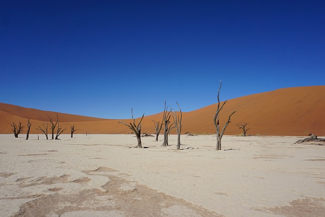 desert-dune-640x480-2763596.jpeg