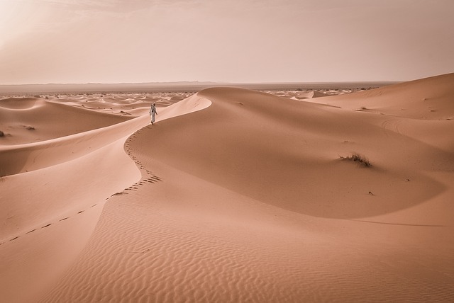 Dubai Desert Quad Bike: Explore Dunes, Capture Memories
