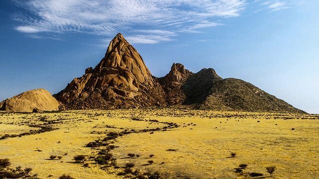 desert safari