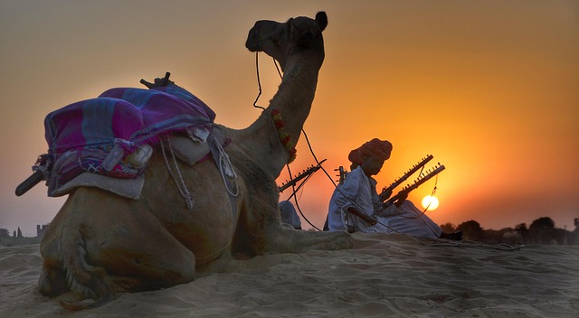 Uncover the Magic: Your Ultimate Desert Safari Ticket Adventure