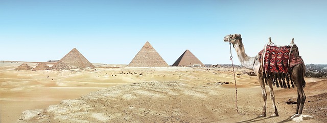 Discover Desert Safari Dubai Deals: Pricing, Packages & Benefits