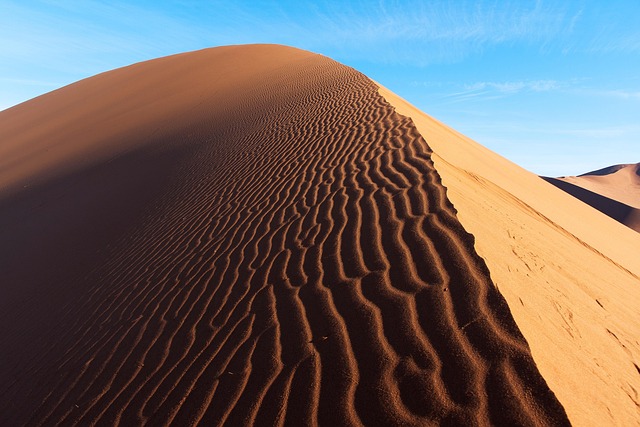 desert safari