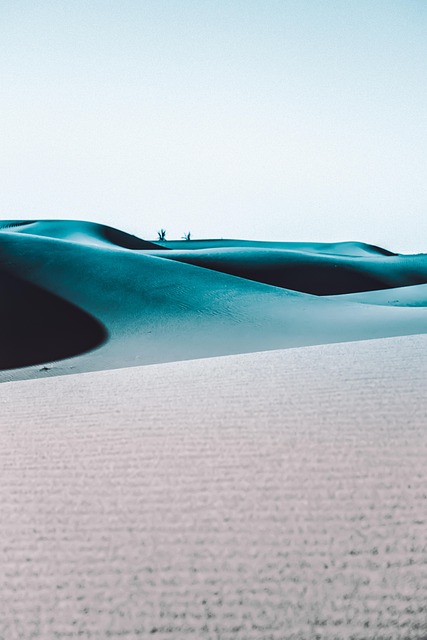 desert safari