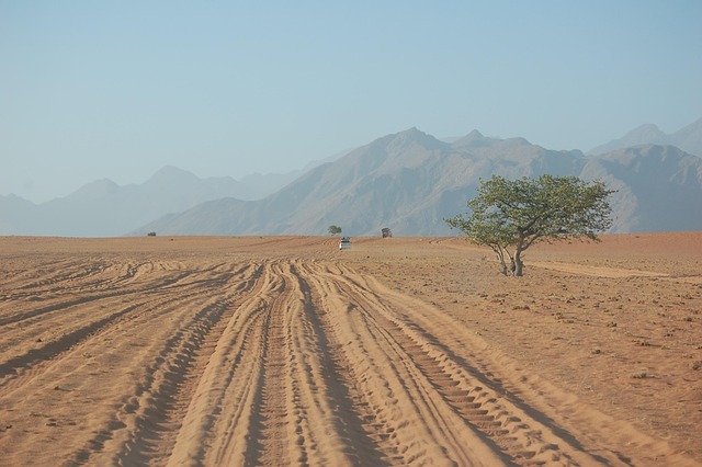 desert safari