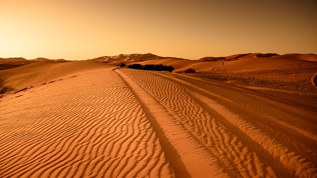 desert safari