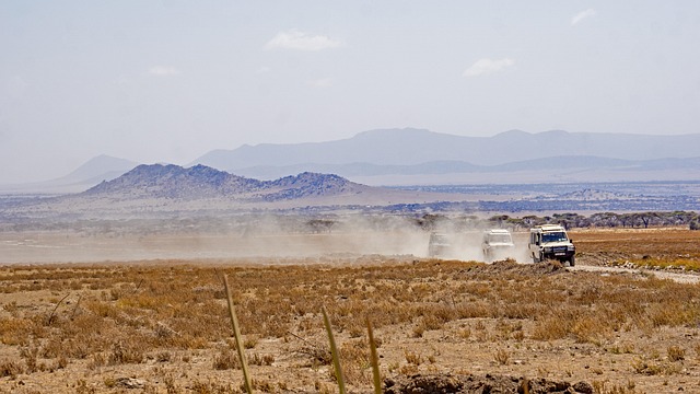 desert safari
