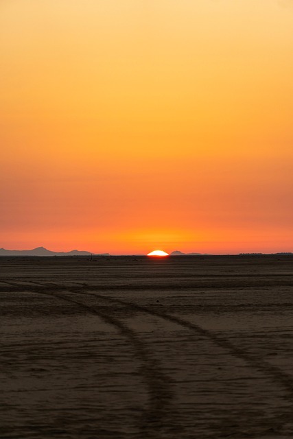 desert safari tours