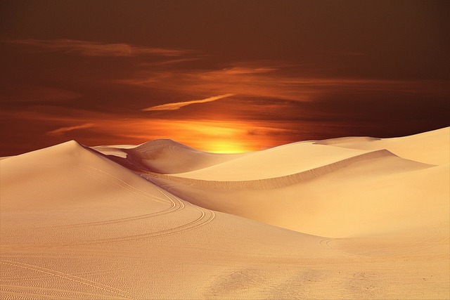 desert safari tours