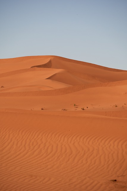 Discover Dubai’s Desert Magic: A Morning Escape Adventure