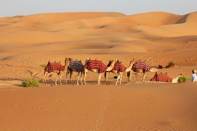 desert safari with quad bike