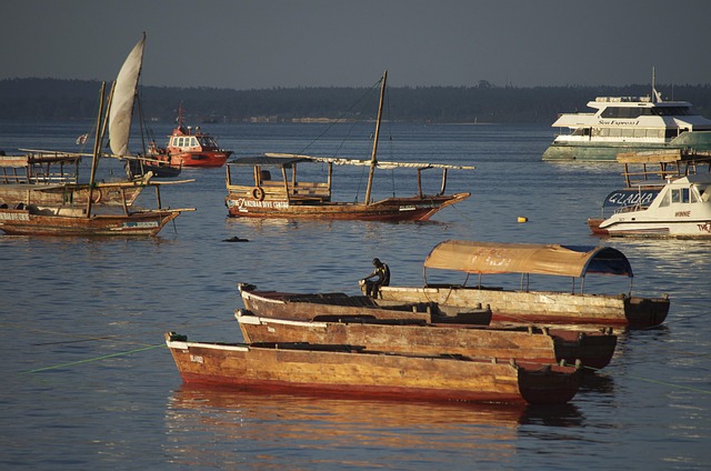 Unveiling Premium Dining: Dhow Cruise Tickets and Beyond