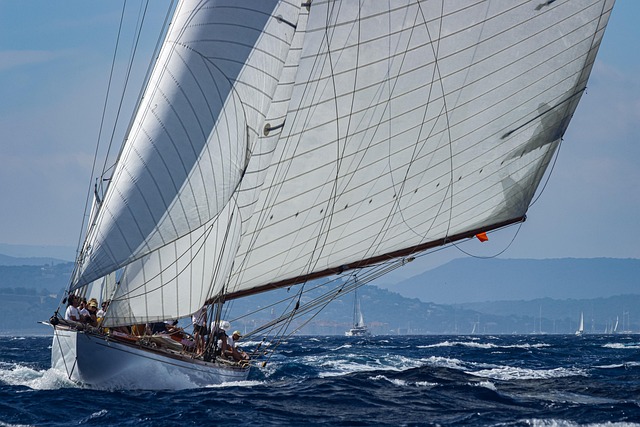 dhow cruise