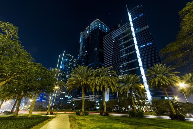 dubai city tour