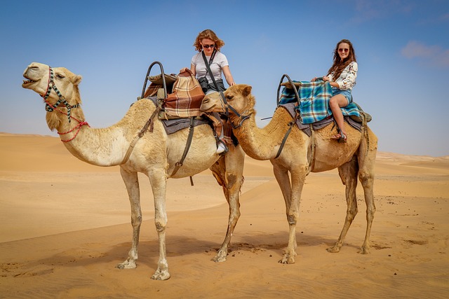 dune bashing