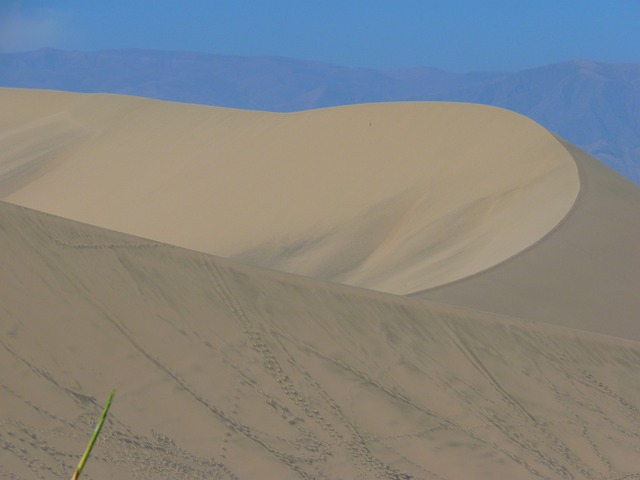 dune bashing