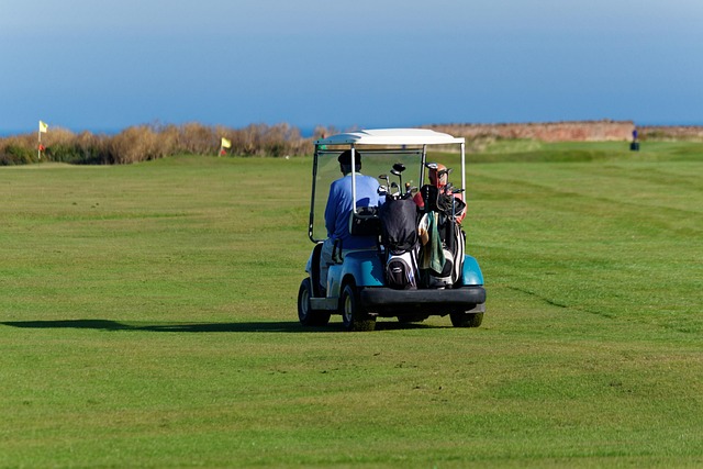 dune buggies
