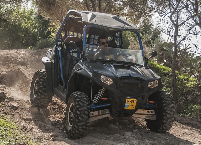 dune buggy