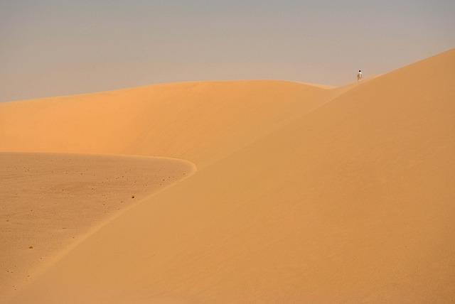 dune buggy
