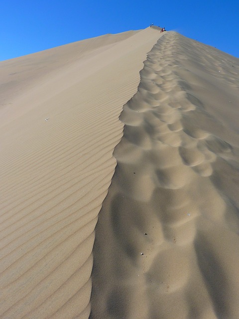 dune buggy experience