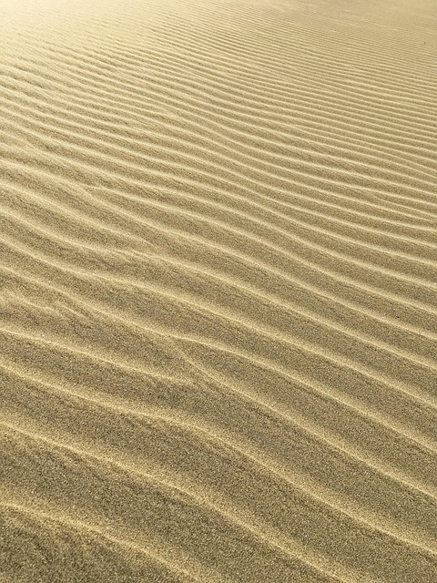 dune buggy ride