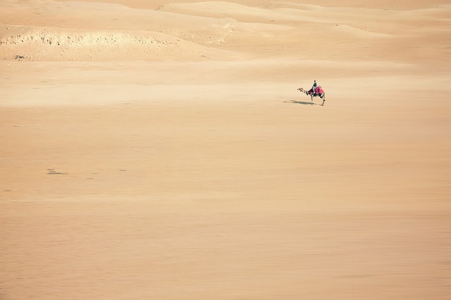 dune buggy tour