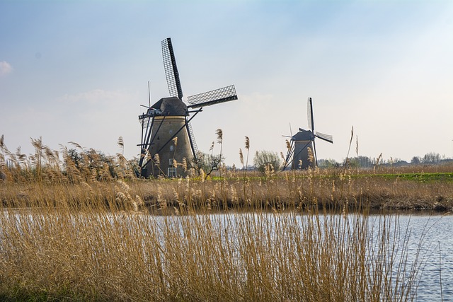 local tour packages