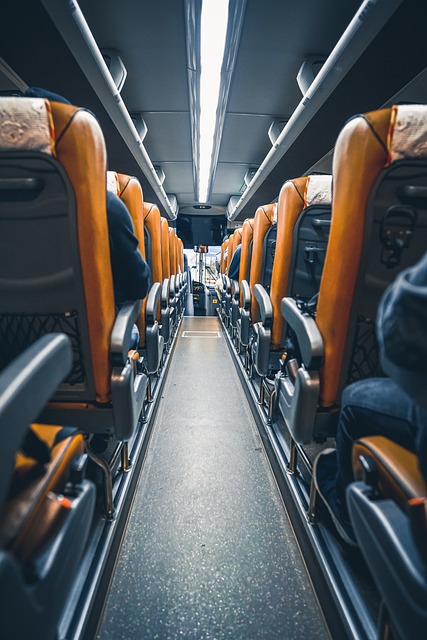 luxury bus rental
