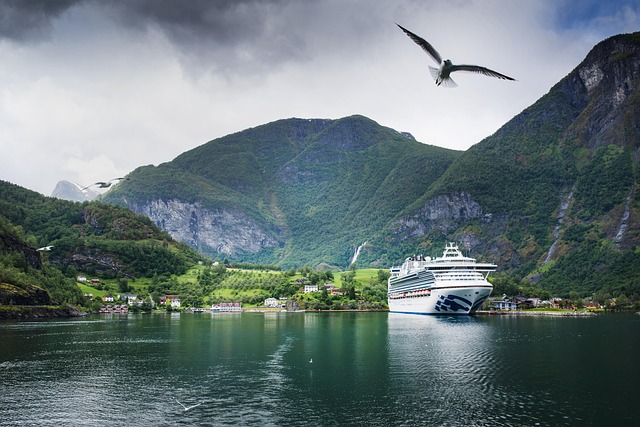 marina cruise