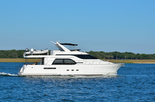 marina cruise