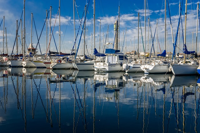 marina cruise