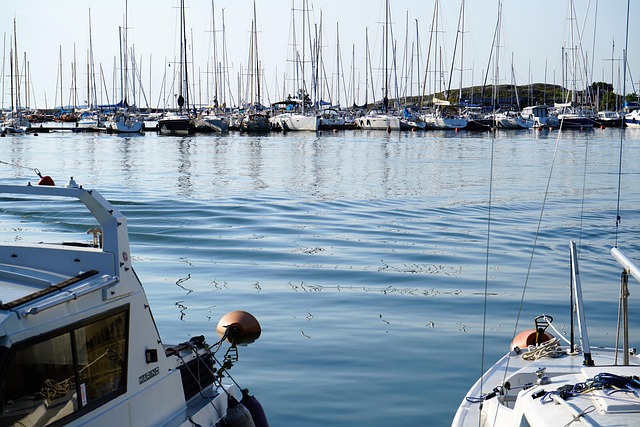 marina dhow